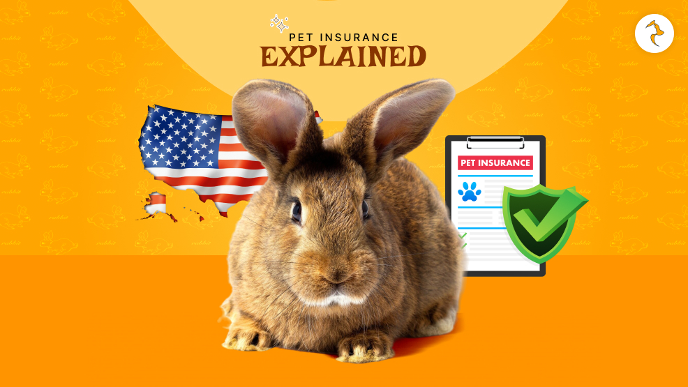 Pet Insurance Explained