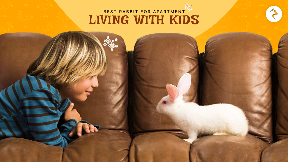 best rabbit for apartment living with kids