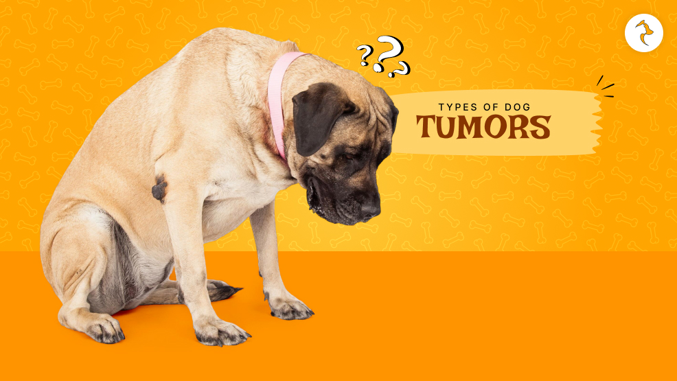 types of dog tumors