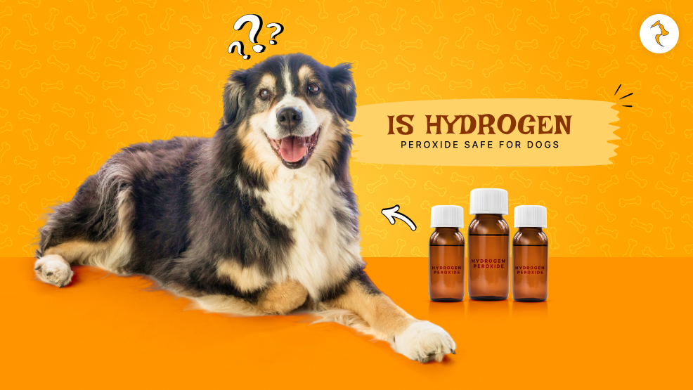 is hydrogen peroxide safe for dogs