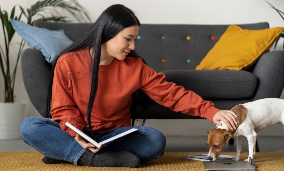 Navigating pet end-of-life care