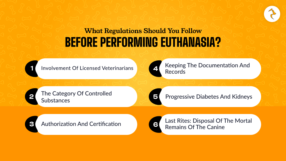 What Regulations Should You Follow Before Performing Euthanasia