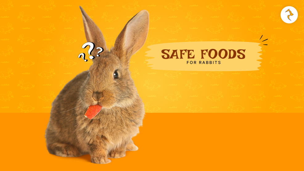 safe foods for rabbits