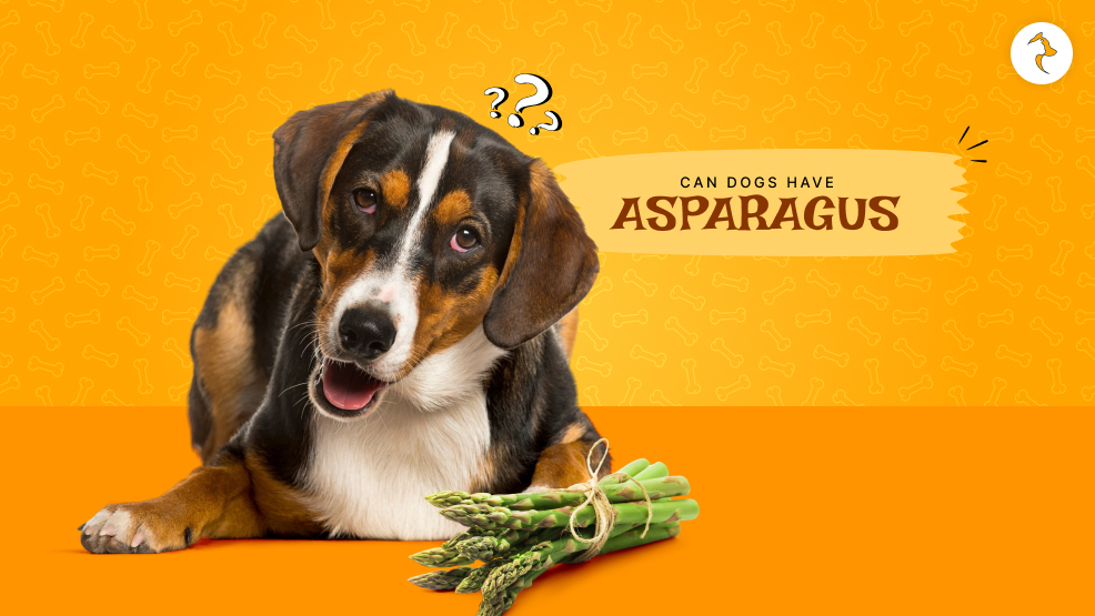Can dogs have asparagus