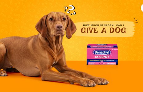 How much Benadryl can I give a dog