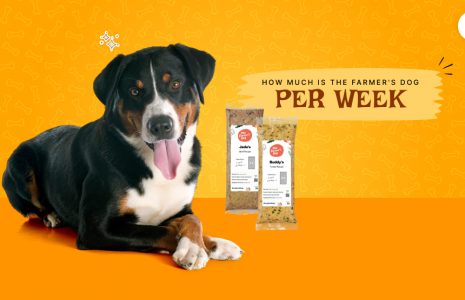How much is the farmer's dog per week
