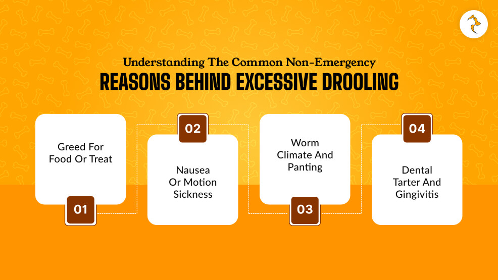 Understanding The Common Non-Emergency Reasons Behind Excessive Drooling