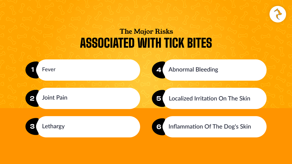 What Are The Major Risks Associated With Tick Bites