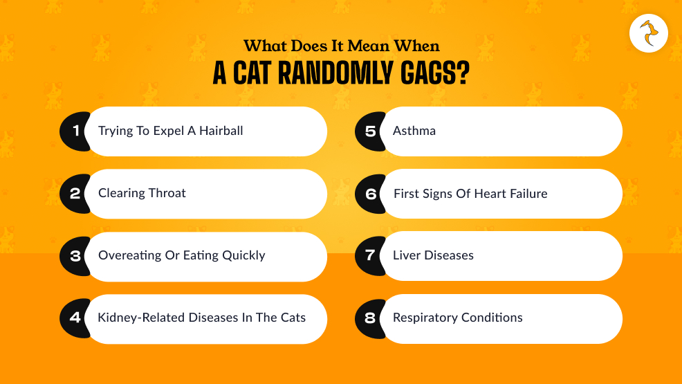 What Does It Mean When A Cat Randomly Gags