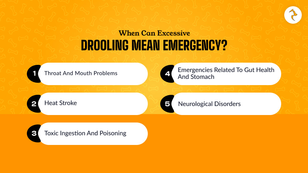 When Can Excessive Drooling Mean Emergency