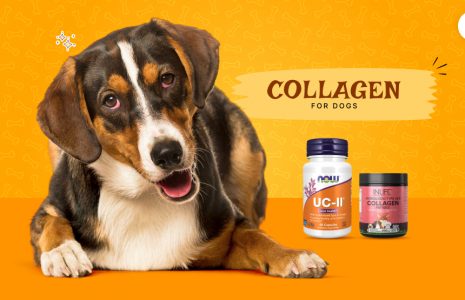 collagen for dogs
