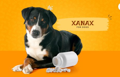 xanax for dogs