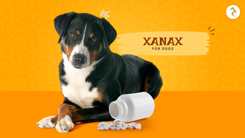 xanax for dogs
