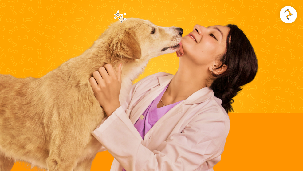 Are The Indie Native Dogs Great Companions
