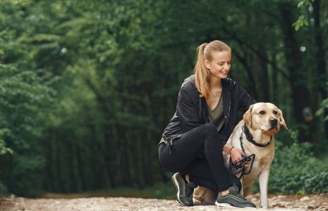 Dog Wellness Support