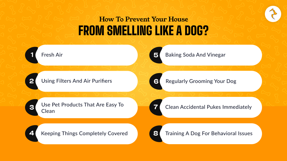How To Prevent Your House from Smelling Like A Dog