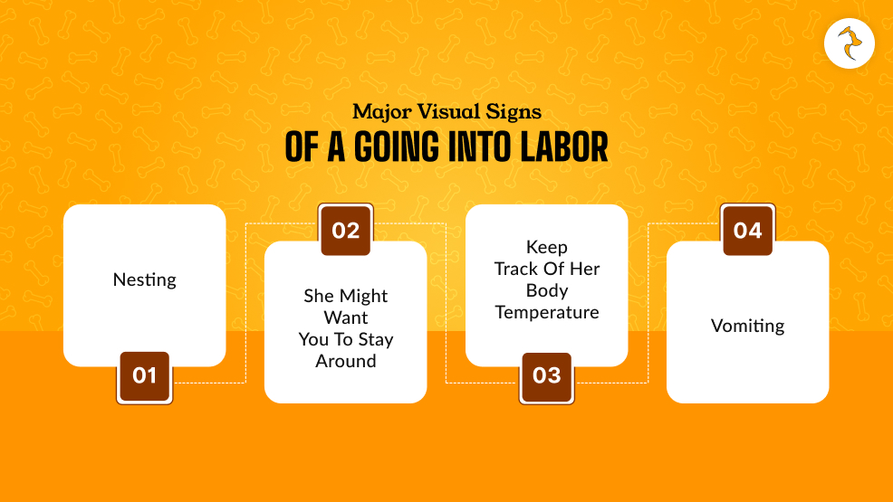 What Are The Major Visual Signs Of A Going Into Labor