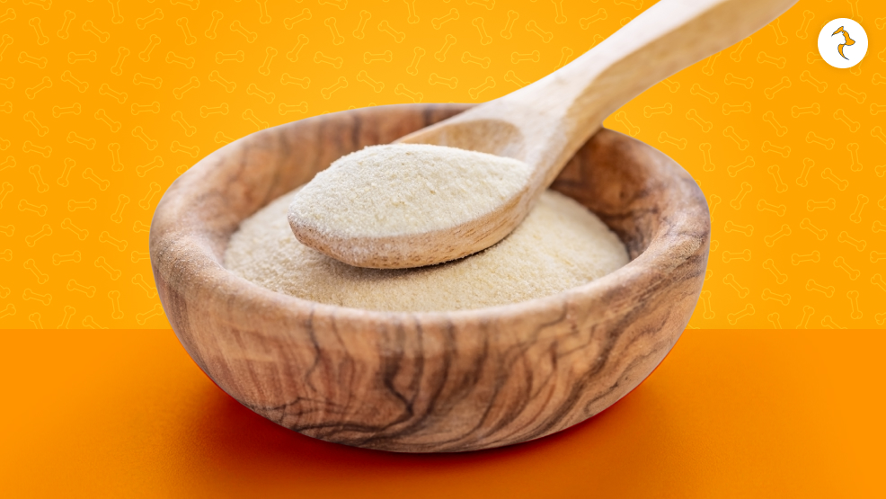 What Are The Things That We Should Learn About Xanthan Gum Dogs
