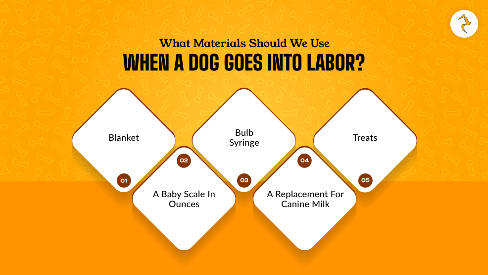 What Materials Should We Use When A Dog Goes Into Labor