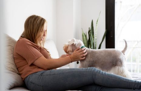 at-home pet euthanasia
