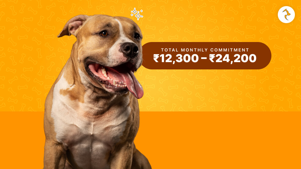 Real-World Maintenance Costs of Pitbull in India (INR)