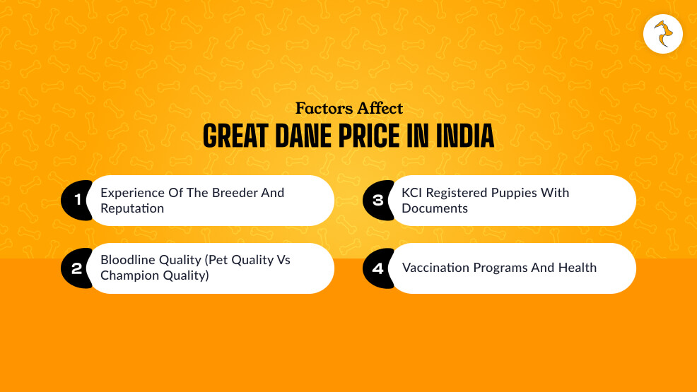What Factors Affect Great Dane Price In India