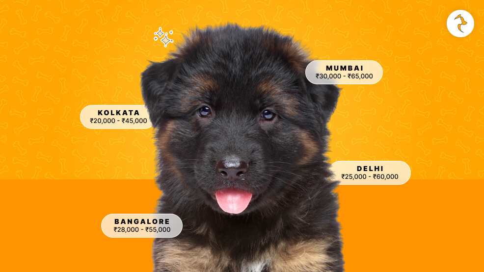 Price Of German Shepherd