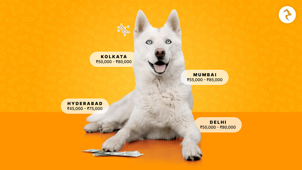 Husky Cost Of Buying