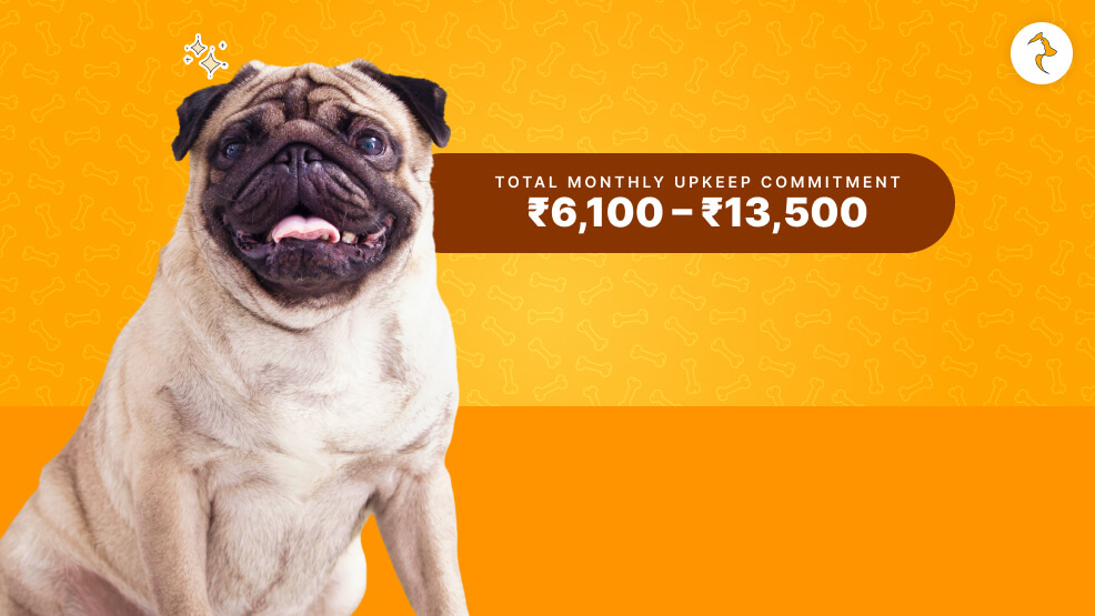 Pug Dog Real-World Maintenance Costs (INR)