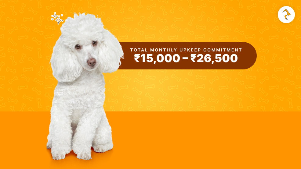 Real-World Maintenance Costs (INR) of Poodle in India